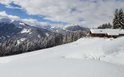 Remberghütte in Viehhofen