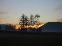 In Wildermieming