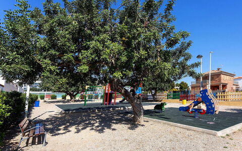 Valenciano: Sky, Plant, Urban Design, Shade, Leisure, Tree, Road Surface, Asphalt, Landscape, Evergreen