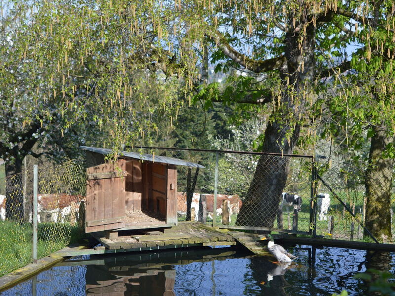 Bättwil