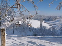 Eggenhof Ferien