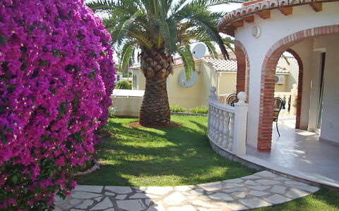 Tossal Gros: Property, Hacienda, Real Estate, House, Building, Plant, Palm Tree, Villa, Tree, Courtyard