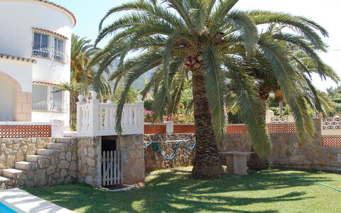 Casa Pia: Tree, Palm Tree, Property, Arecales, Date Palm, Architecture, House, Plant, Building, Woody Plant