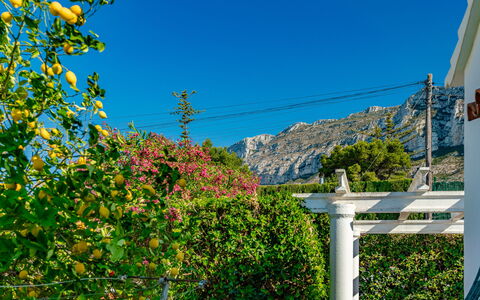Casa Pia: Sky, Flower, Plant, Leaf, Azure, Vegetation, Biome, Natural Landscape, Woody Plant, Slope