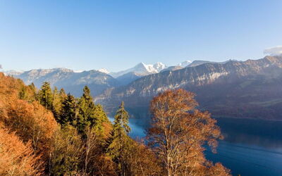 Apartment Enzian mit Mitbenutzung Spa & Wellness