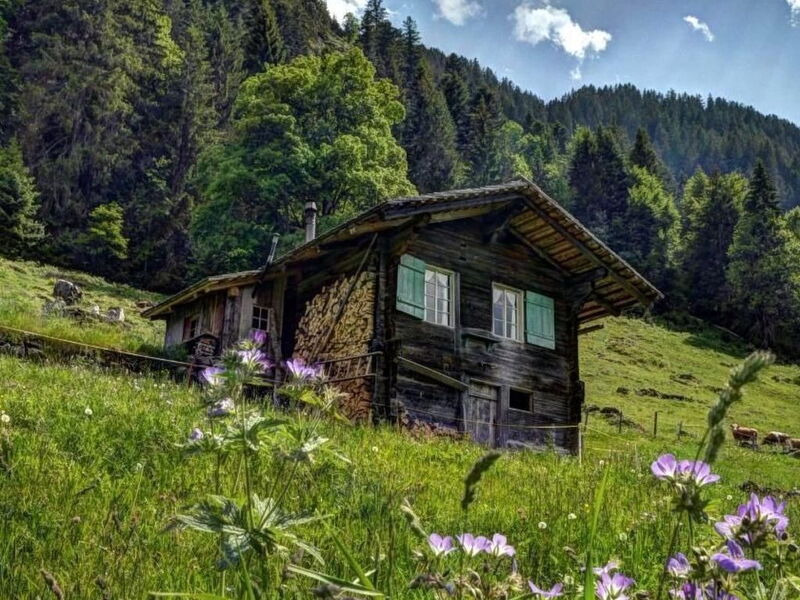 Kirschbaumhütte