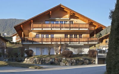 Chalet Steinbillen