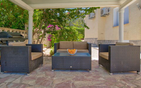 La Marquesa: Plant, Furniture, Flower, Shade, Flowerpot, Interior Design, Rectangle, Living Room, Houseplant, Floor