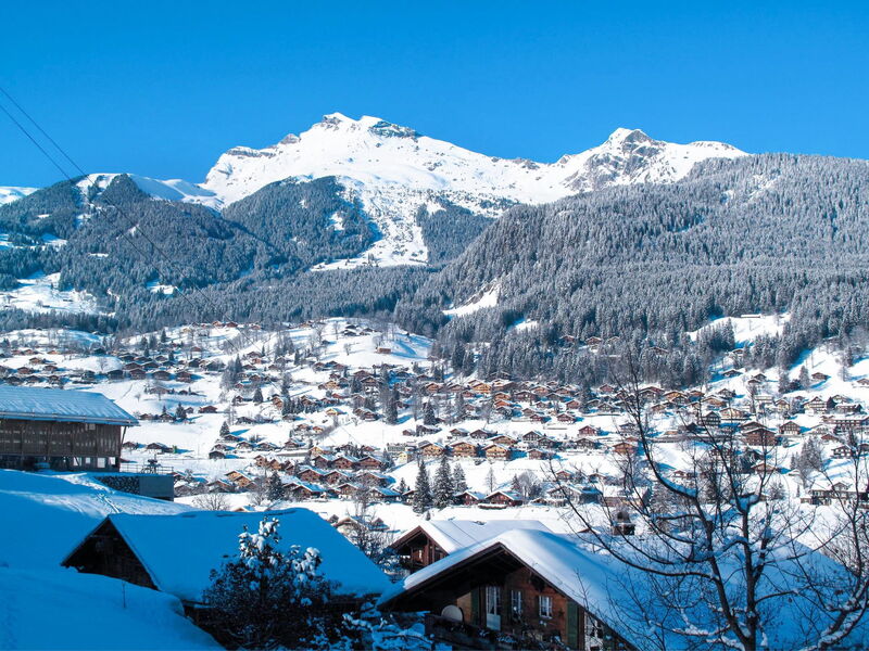 Apartment Silbersee
