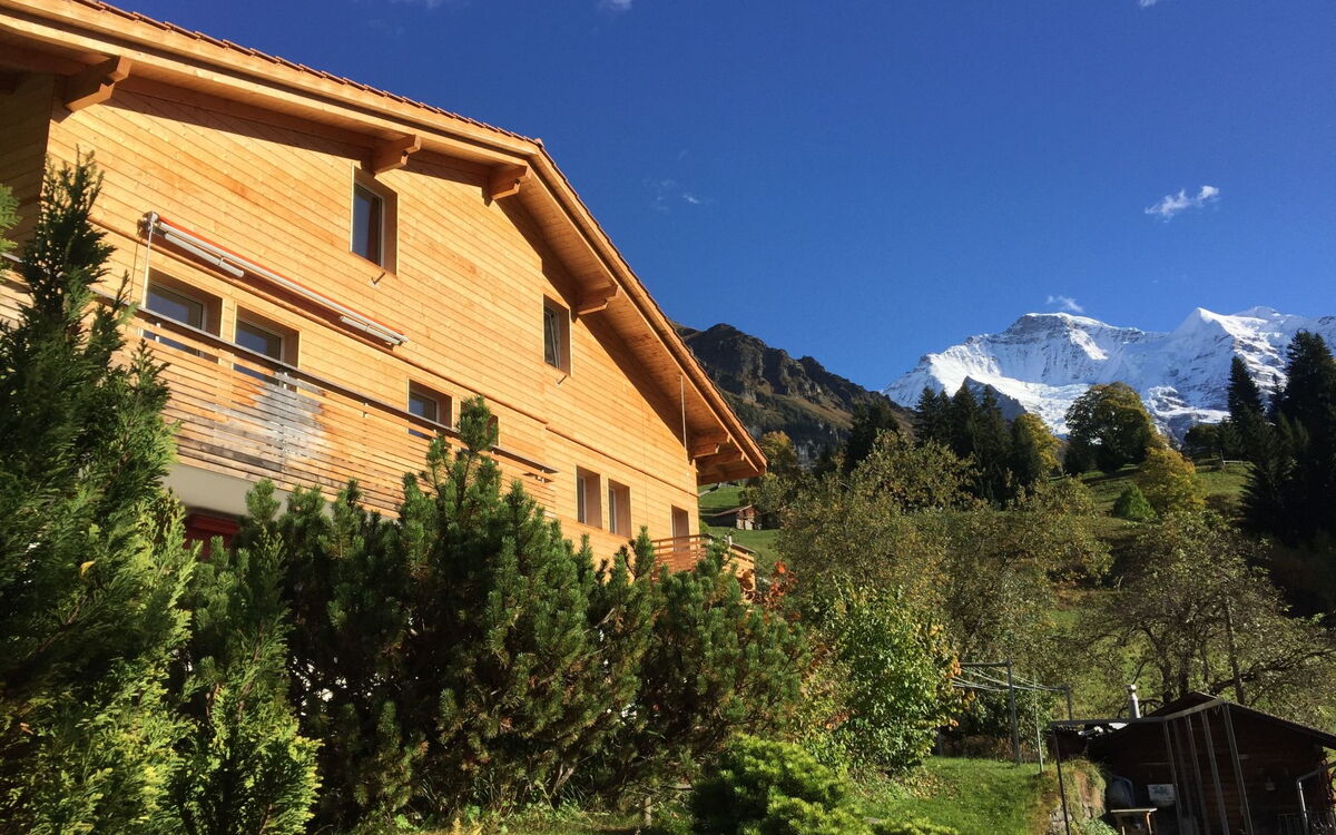Chalet Viola
