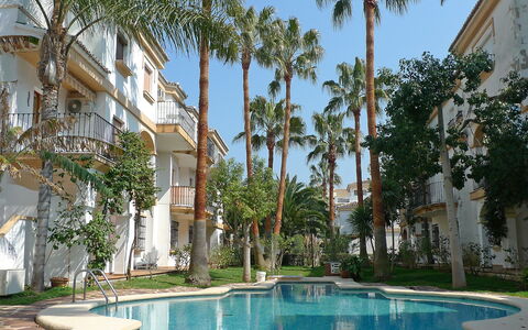El Patio: Water, Plant, Building, Property, Sky, Tree, Window, Swimming Pool, Arecales, Residential Area