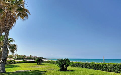 Mimosa i: Sky, Blue, Green, Body Of Water, Vegetation, Coast, Sea, Summer, Coastal And Oceanic Landforms, Beach