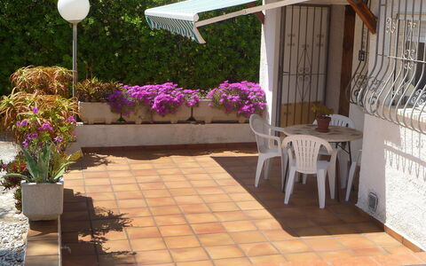 Mimosa i: Property, Pergola, House, Building, Floor, Patio, Flower, Plant, Backyard, Interior Design