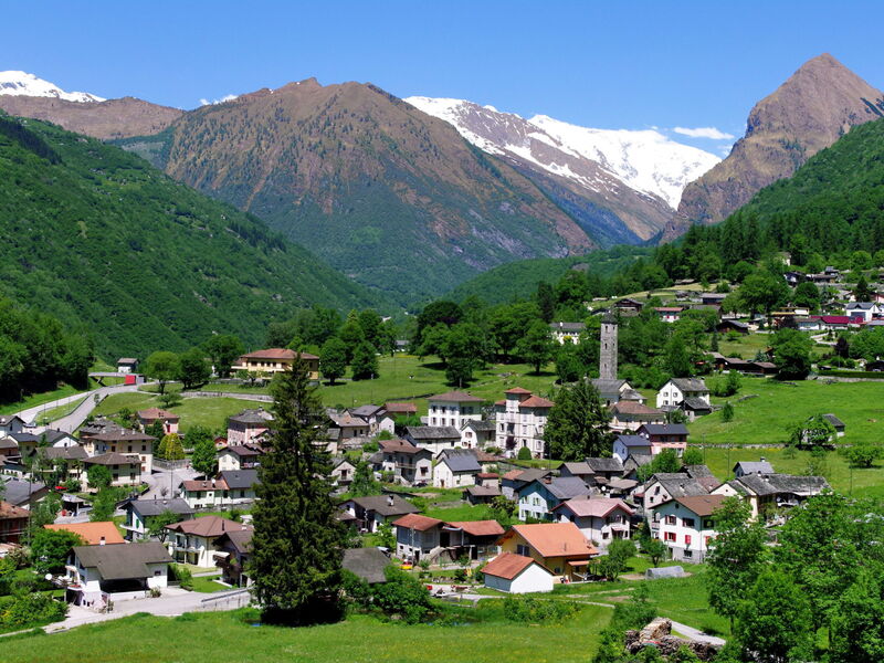 Cò D'Franz