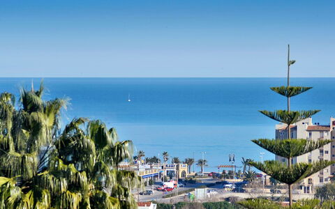 Arborcer: Sky, Blue, Vegetation, Sea, Azure, Palm Tree, Tree, Horizon, Vacation, Town