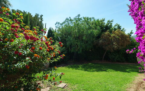 Tesoro Park: Garden, Flower, Nature, Vegetation, Plant, Tree, Botanical Garden, Botany, Grass, Spring
