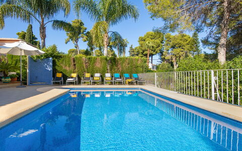 Eucaliptus: Water, Plant, Sky, Swimming Pool, Property, Azure, Tree, Shade, Chair, Outdoor Furniture