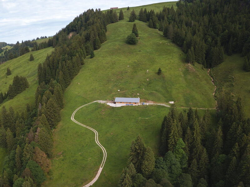 Alp Scherlet