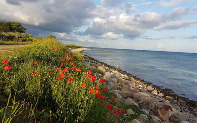 Cala Millor