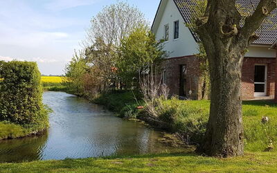In Landschaftspolder mit Großem Garten
