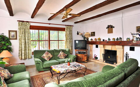 Tarraula: Picture Frame, Property, Couch, Green, Furniture, Houseplant, Interior Design, Lighting, Comfort, Plant