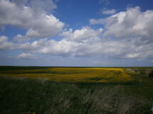 In Kinderfreundlicher Ferienanlage