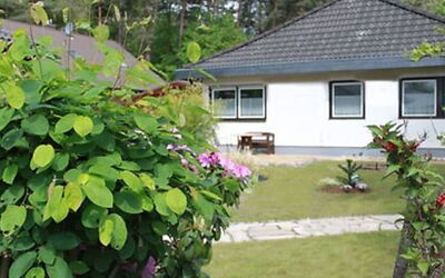Naherholung Inmitten der Natur am Rheinsteig