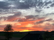 Charly in Kirchheim Seepark