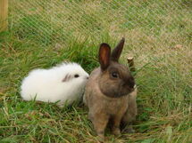 Im Ersten Obergeschoss