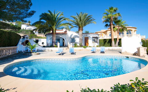 Lina: Water, Sky, Blue, Nature, Azure, Plant, Tree, Arecales, Leisure
