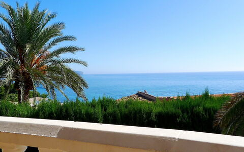 Avalon: Sky, Property, Daytime, Tree, Azure, Palm Tree, Vacation, Ocean, Sea, Shore