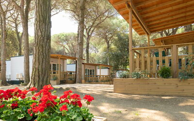 Accommodation:&nbsp;Mare e Pineta 22.1