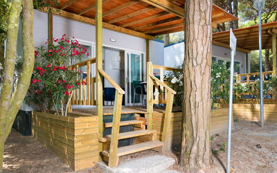 Accommodation:&nbsp;Mare e Pineta 22.1