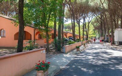 Accommodation:&nbsp;Mare e Pineta 22.3