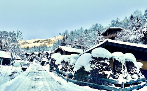 Talschluss 500: Wood, Trunk, Winter, Twig, Outdoor Furniture, Freezing, Woodland, Snow, Backyard