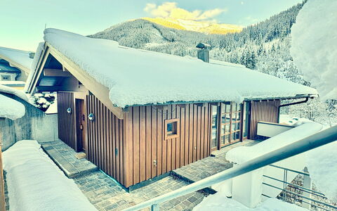 Talschluss 500: Wood, Trunk, Winter, Twig, Outdoor Furniture, Freezing, Woodland, Snow, Backyard