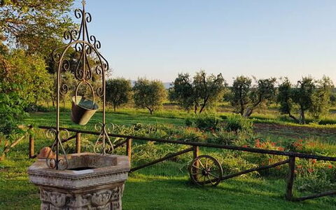Appartamento Girasole Seaside and Pool: Plain, Garden, Park, Lawn, Yard, Landscaping, Plantation, Botanical Garden, Farm, Backyard