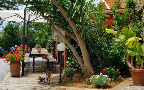 Appartamento Papavero Seaside and Pool: Green, Flowerpot, Garden, Furniture, Shade, Outdoor Furniture, Backyard, Houseplant, Chair
