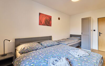 Accommodation:&nbsp;Růžová 5 101.5