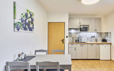 Accommodation:&nbsp;Růžová 4 101.4
