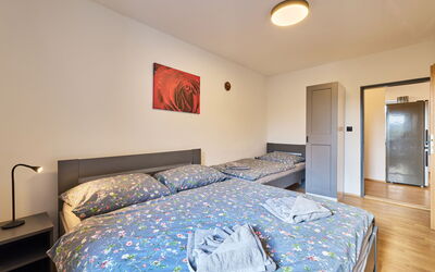 Accommodation:&nbsp;Růžová 5 101.5