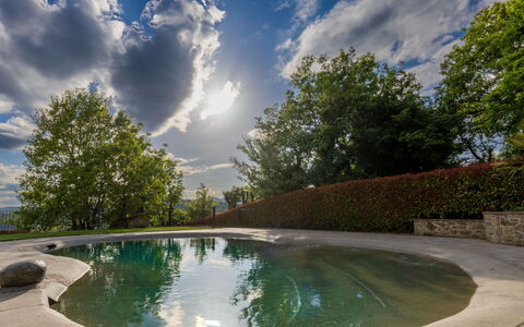L'Oasi del Poggio: Water, Swimming Pool, Reflection, Water Feature, Landscaping, Pond, Reflecting Pool