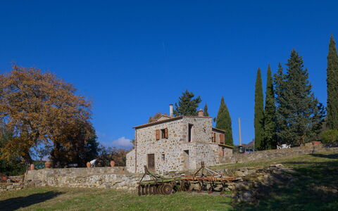 Pereti: Blue, Residential Area, Suburb, Estate, Landscaping, Hedge