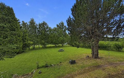 Greenaway: Grass, Tree, Natural Environment, Leaf, Branch, Grassland, Plain, Cloud, Shrub, Land Lot