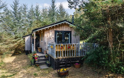 The Cabin