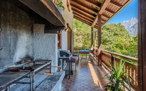 Erika: Wood, Mountain, Mountain Range, Hill, Porch, Hill Station, Valley, Ridge, Hardwood, Alps