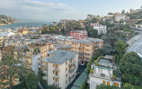 Nerina: Building, City, Residential Area, Urban Area, Apartment, Neighbourhood, Town, Summer, House, Home