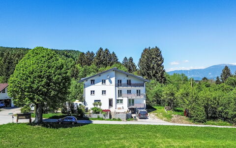 Sankt Jakob im Rosental 1: Tree, House, Home, Residential Area, Land Lot, Cottage, Rural Area, Human Settlement, Estate
