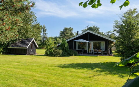 Roald - 320M from the Sea: Wood, Furniture, Apartment, Room, Ceiling, Wood Stain, Chair, Hardwood, Varnish, Lumber
