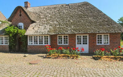 Bedine - 10Km from the Sea